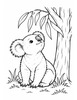 Ausmalbild Koala sitzt am Eukalyptusbaum
