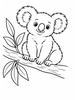 Ausmalbild Koala sitzt auf Eukalyptusast