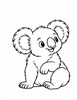 Ausmalbild Koala sitzt und schaut zur Seite