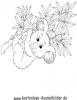 Ausmalbild Koala