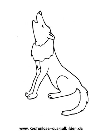 Ausmalbild Kojote 1