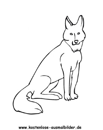 Ausmalbild Kojote 2
