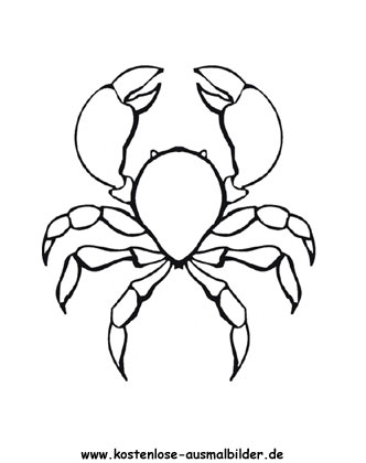 Ausmalbild Krabbe 4