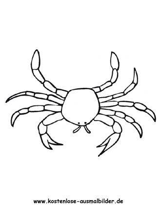 Ausmalbild Krabbe 8