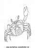 Ausmalbild Krabbe 2