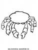 Ausmalbild Krabbe 6
