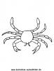 Ausmalbild Krabbe 8
