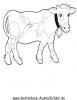Ausmalbild Kuh 3