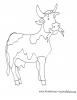 Ausmalbild Kuh