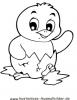 Ausmalbild Küken in Eierschale