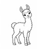Ausmalbild Lama Jungtier
