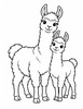 Ausmalbild Lama Mutter mit Jungtier