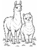 Ausmalbild Lama und Alpaka zusammen