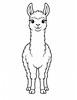 Ausmalbild Lama von vorne