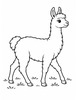 Ausmalbild Laufendes Lama