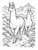 Ausmalbild Zwei Lamas auf dem Bergweg