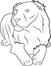 Ausmalbild Löwin