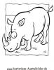 Ausmalbild Nashorn 1