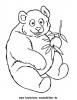 Ausmalbild Panda 1