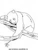 Ausmalbild Panda 2