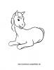 Ausmalbild Pferd 1