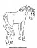Ausmalbild Pferd 11