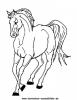 Ausmalbild Pferd 12
