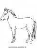 Ausmalbild Pferd 14