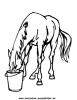 Ausmalbild Pferd 15