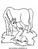 Ausmalbild Pferd 17