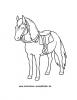 Ausmalbild Pferd 2