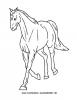 Ausmalbild Pferd 5