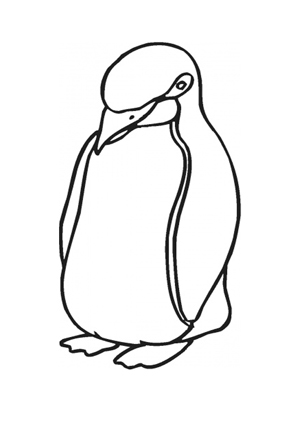 Ausmalbild Junger dicker Pinguin