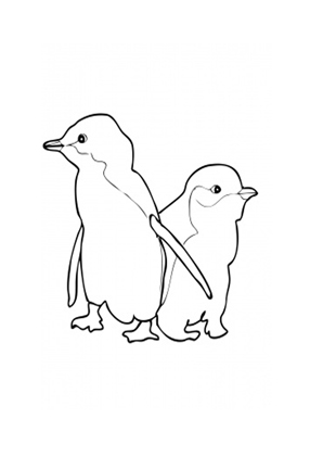 Ausmalbild Zwei Kleine Blau Pinguine zum Ausdrucken