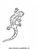 Ausmalbild Salamander 1