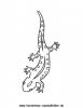 Ausmalbild Salamander 2