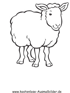 Schafe Zahlen Bilder Zum Ausdrucken