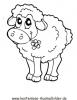 Ausmalbild Schaf 1