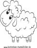 Ausmalbild Schaf 4