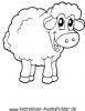 Ausmalbild Schaf 5