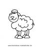 Ausmalbild einfaches Schaf