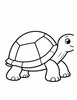 Ausmalbild Einfache Landschildkröte