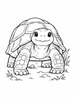 Ausmalbild Grosse Landschildkröte von vorne