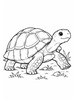 Ausmalbild Landschildkröte beim Laufen