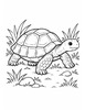 Ausmalbild Landschildkröte läuft durch die Wiese