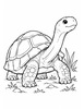Ausmalbild Landschildkröte mit ausgestrecktem Hals