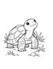 Ausmalbild Landschildkröte schaut nach oben