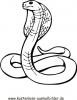 Ausmalbild Klapperschlange