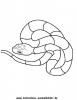 Ausmalbild Schlange 6