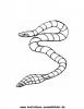 Ausmalbild Schlange 7